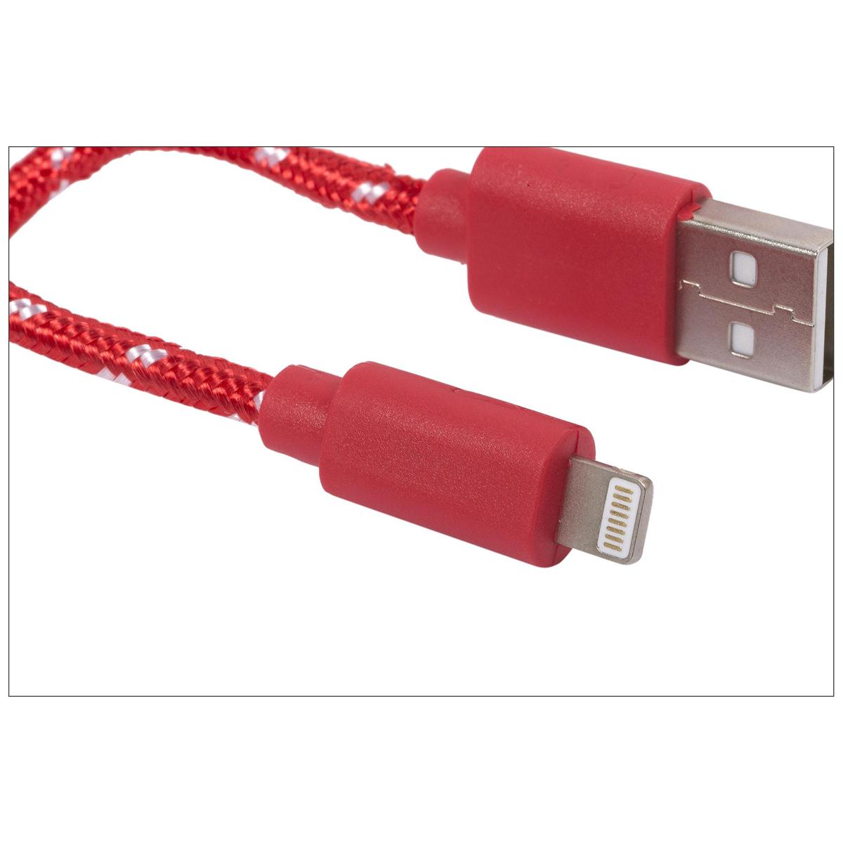 iFocus, 10 ft. Lightning data cable Syn Cbl,3C