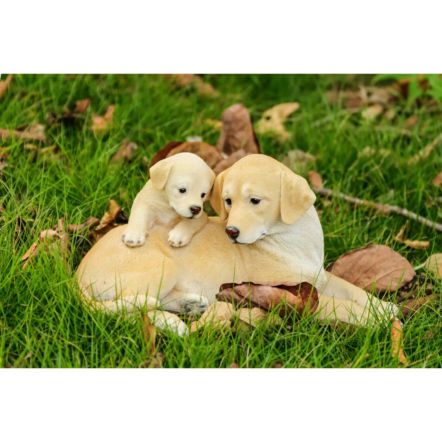 Yellow Labrador -  Mother & Pup