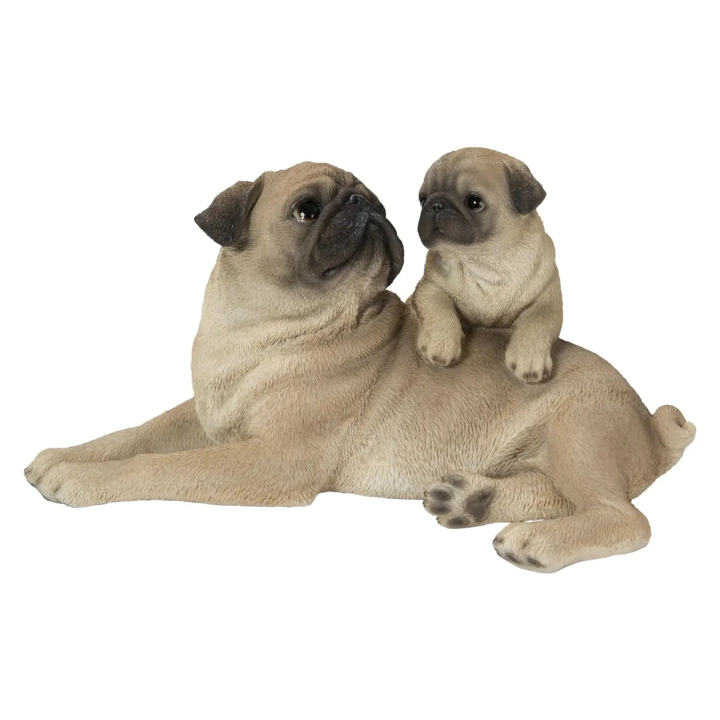 Pugs - Mother & Pup