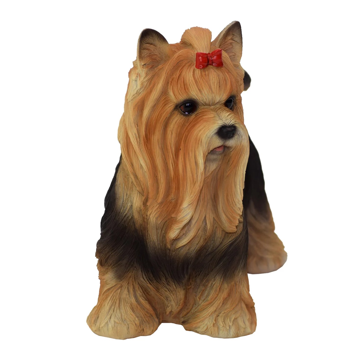 Yorkshire Terrier standing with bow