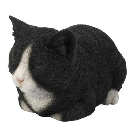 Cat - Black/White Sleeping