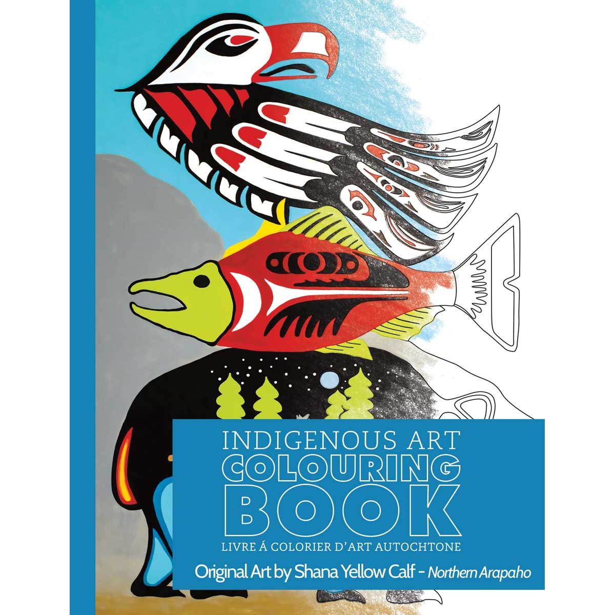 Indigenous  Colouring Book